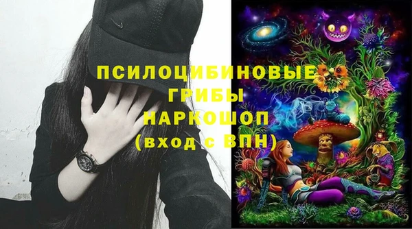 герыч Алексин