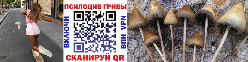 Псилоцибиновые грибы GOLDEN TEACHER  Инсар 
